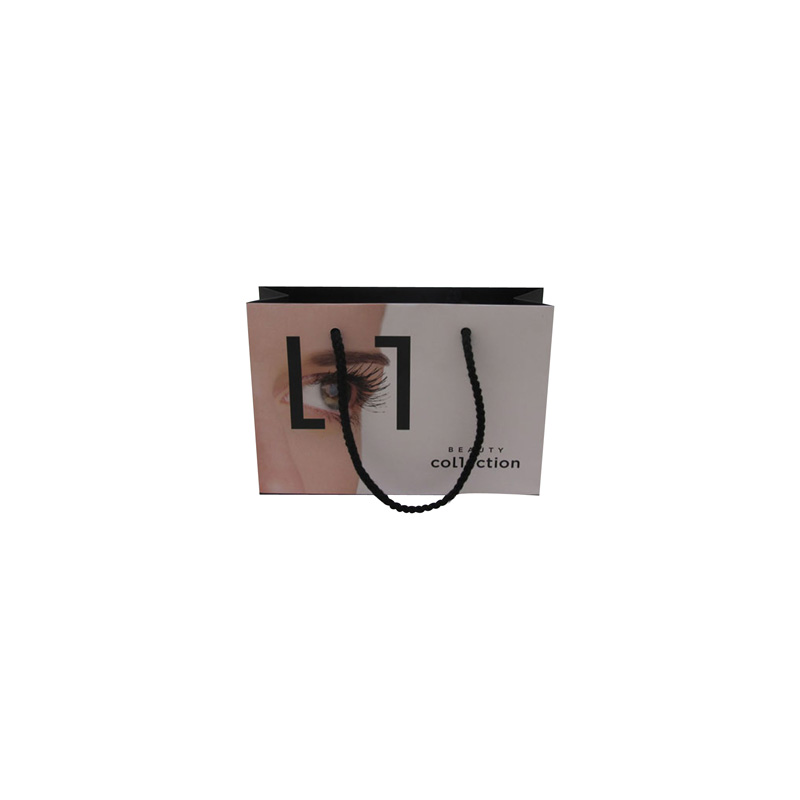 Best Price High-Quality Wholesale Eco-Friendly Shopping Paper Bag with Your Logo