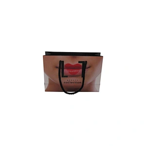 Best Price High-Quality Wholesale Eco-Friendly Shopping Paper Bag with Your Logo