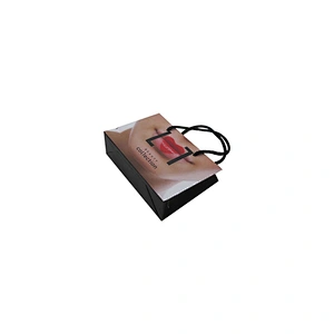 Best Price High-Quality Wholesale Eco-Friendly Shopping Paper Bag with Your Logo